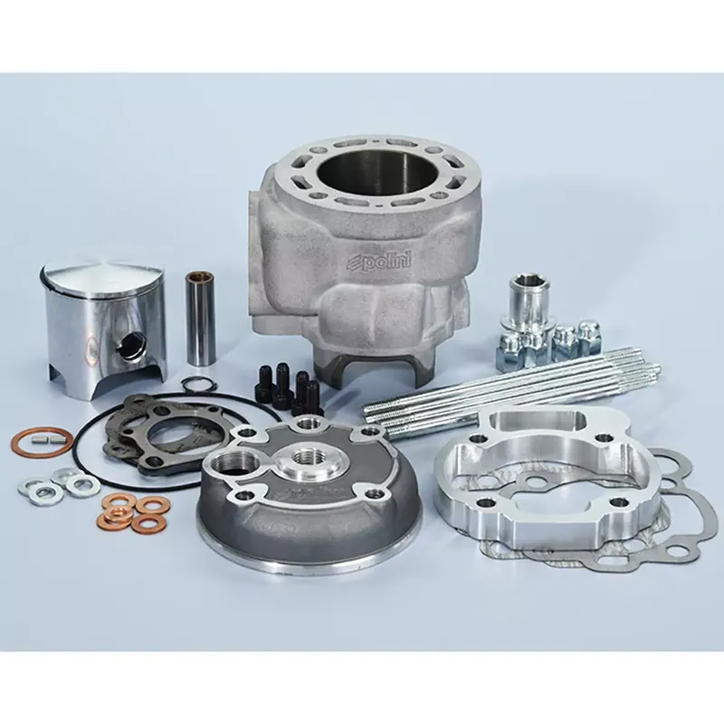 Kit Cylindre 94cc AM6 – Polini Big Evo Course 44mm Bielle 95mm Axe 13mm Expédition Rapide