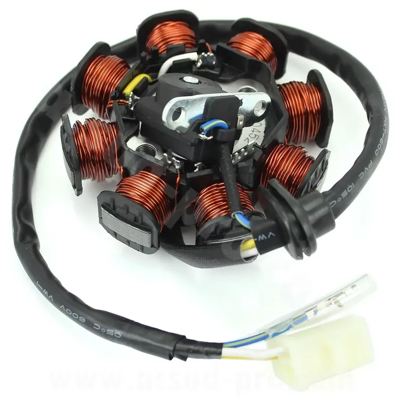 Pas Cher Stator Allumage TNT Boston 12p E4 – TNT Motor