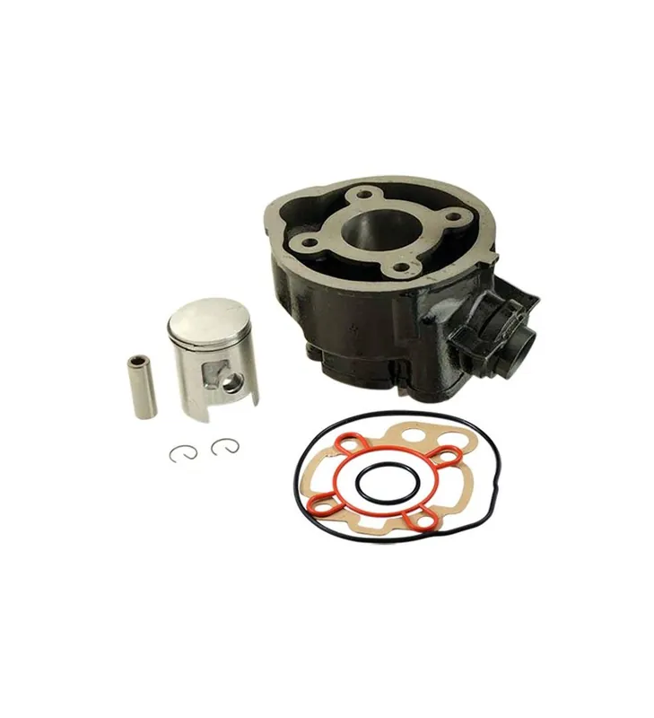 Remise CYLINDRE MINARELLI FONTE TEKNIX ADAPTABLE AM6