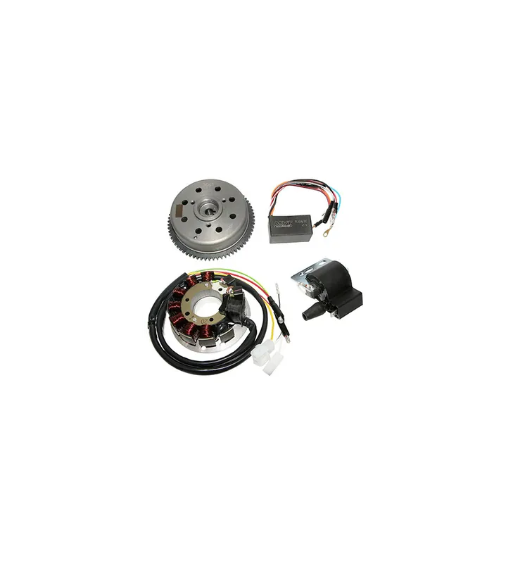Haute Qualité ALLUMAGE 50 A BOITE KRD ANALOGIQUE ROTOR