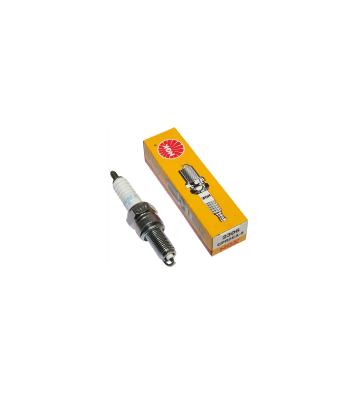 Expédition Rapide BOUGIE CPR8EA9