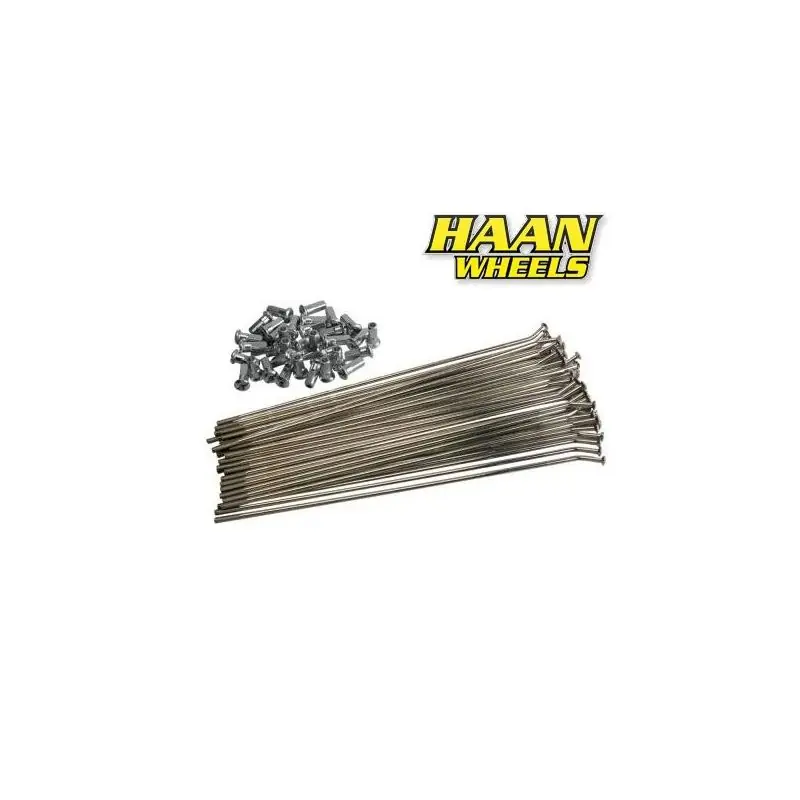 Quantité Limitée Jeu de rayons HAAN WHEELS 19" – 36 rayons