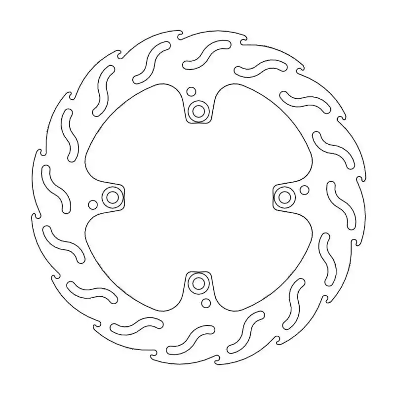 Remise BRAKE DISC FLAME REAR