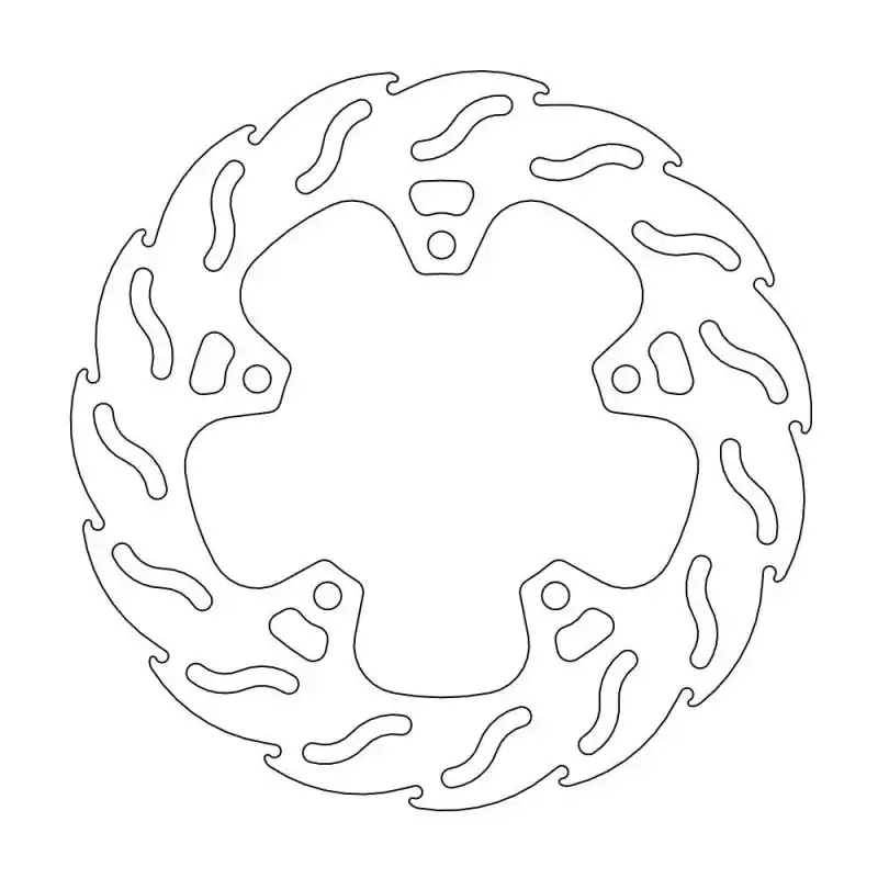 BRAKE DISC FLAME REAR Dernier Modèle