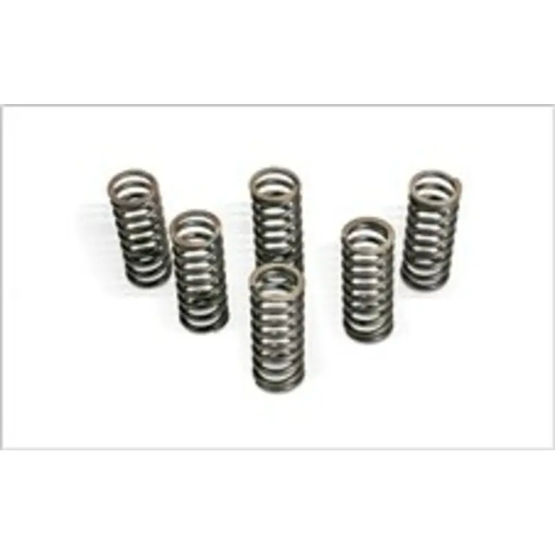 KIT RESSORTS D'EMBRAYAGE POUR RM250 06-08 Prix Réduit