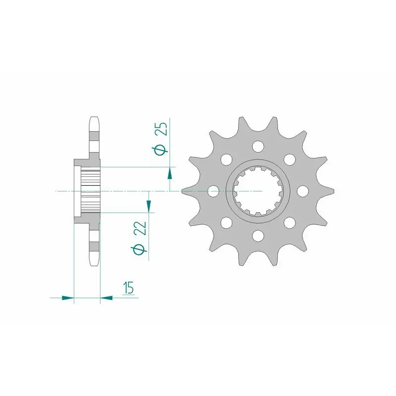 Pignon AFAM acier standard 24509 - 520 Pas Cher
