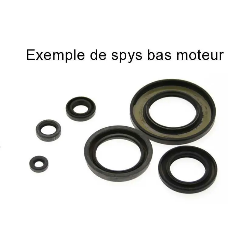 Commander Vite Jeu de joints spi CENTAURO