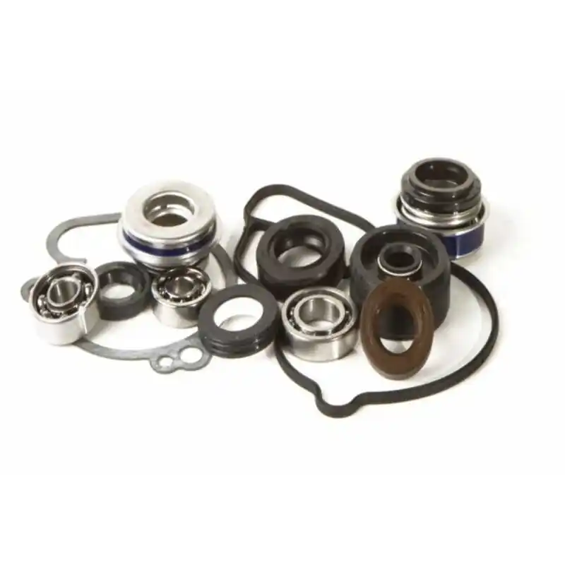 Kit réparation de pompe à eau HOT RODS – Polaris Petit Prix