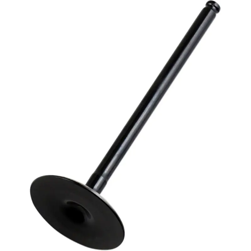 Remise EXHAUST VLVE STEEL
