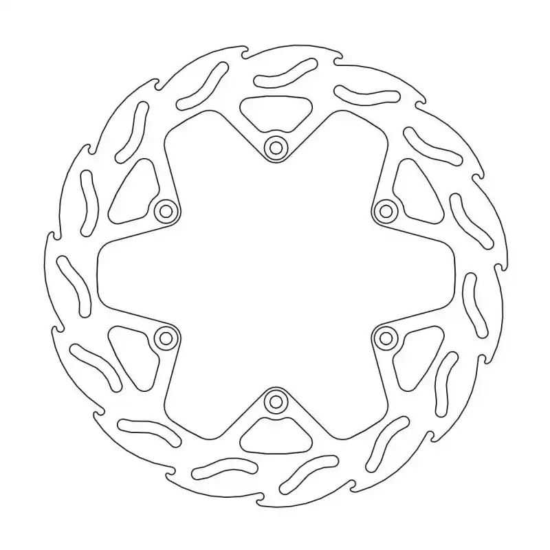 BRAKE DISC FLAME FRONT Bon Plan