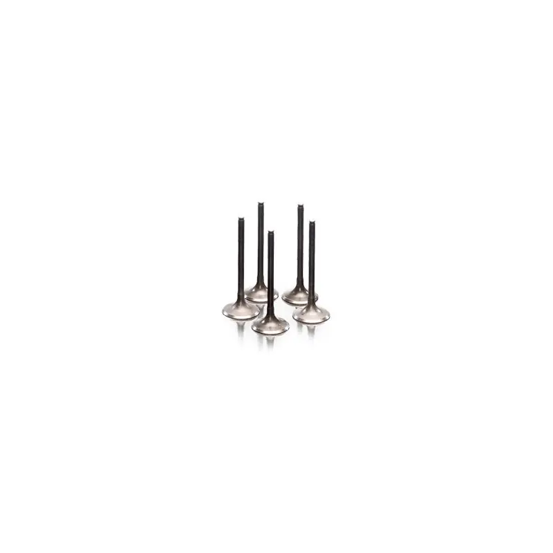 VALVE IN STEEL XT/TTR+MAJESTY Remise