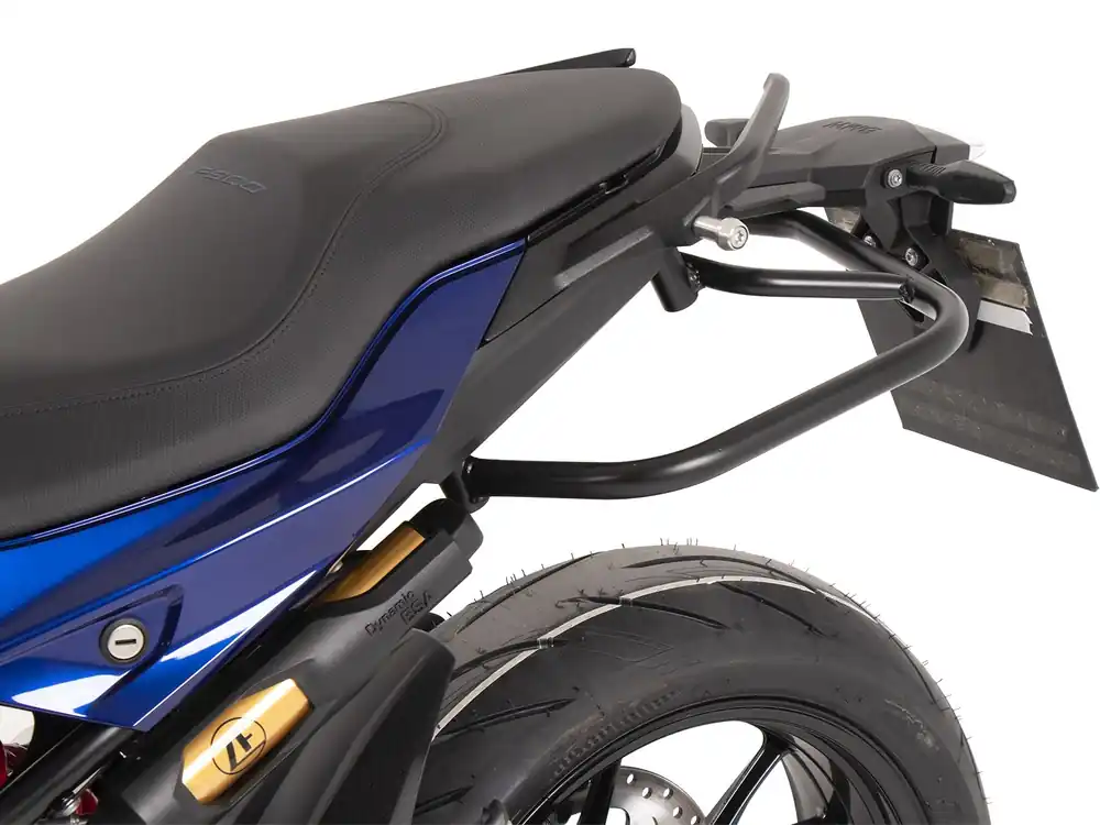 Acheter En Ligne Arceau de protection arrière noir pour BMW F 900 R (20-24) Hepco & Becker