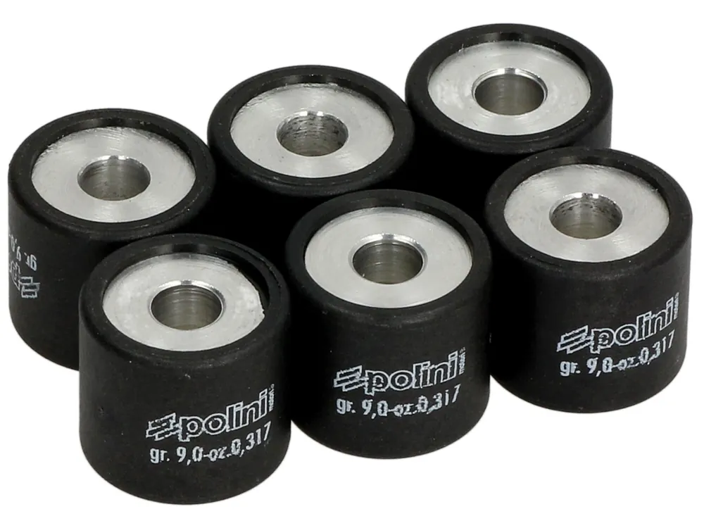 Jeu de galets de variateur Polini, 19×17 mm, 9,0 g, pièces : 6 Haute Qualité