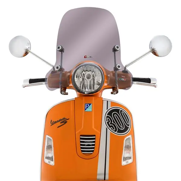 Pare-brise teinté FACO pour Vespa GTS/GTS Super/GT/GT L 125-300ccm Promotion Saisonnière