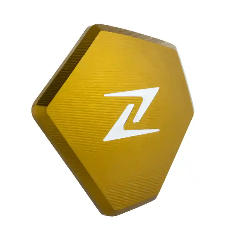 Petit Prix Couverture pour couvercle de vario ZELIONI pour Vespa GTS/GTS Super/GTV HPE 300cc, or