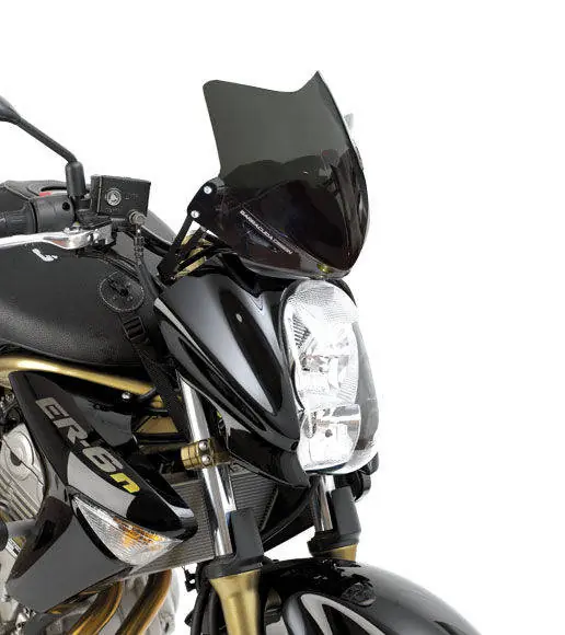 Quantité Limitée Barracuda Windschild Aerosport Plexiglas für Kawasaki Er6-N 2005 – 2008