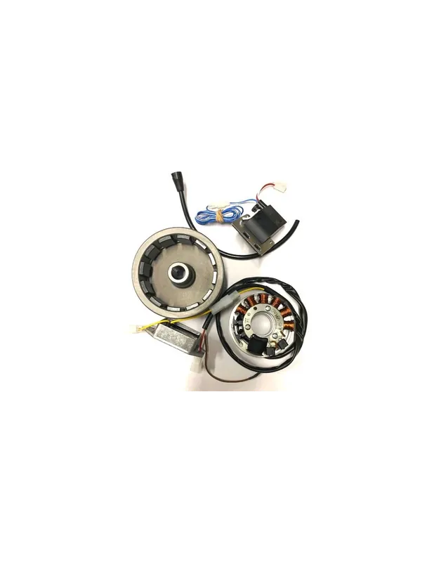 Expédié Aujourd&rsquo;hui FANTIC 200 (TX350 ou FM350 kick en arrière) Allumage électronique