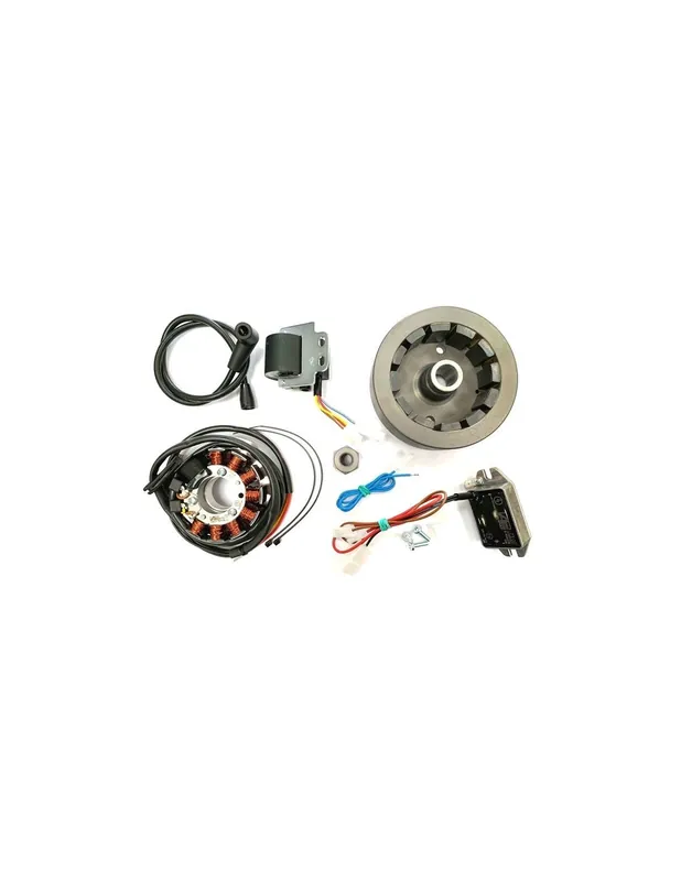 Montesa Cota 242, 304, 307, 309, 310 et 311 Allumage électronique Paiement Sécurisé