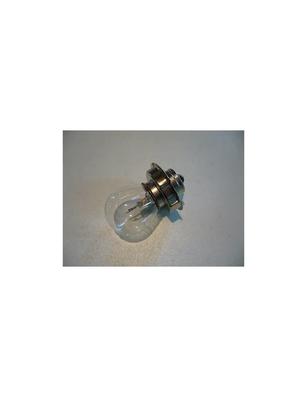 Achat Immédiat Ampoule 12V 15W